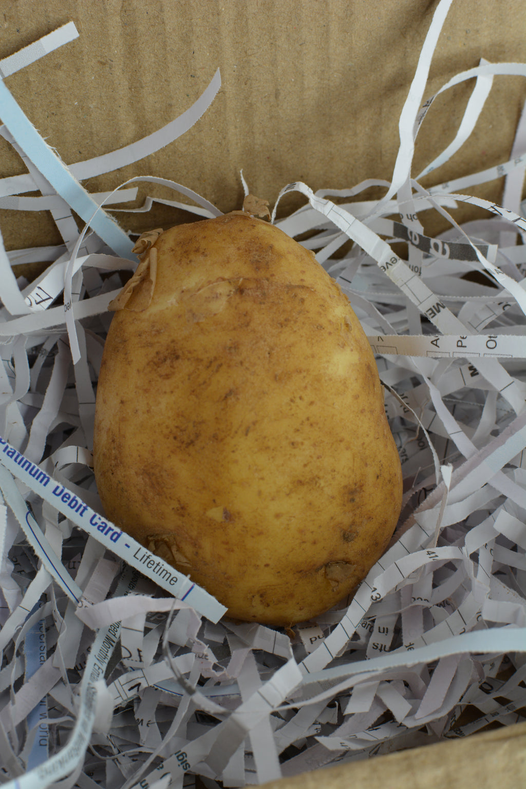 A Single Potato
