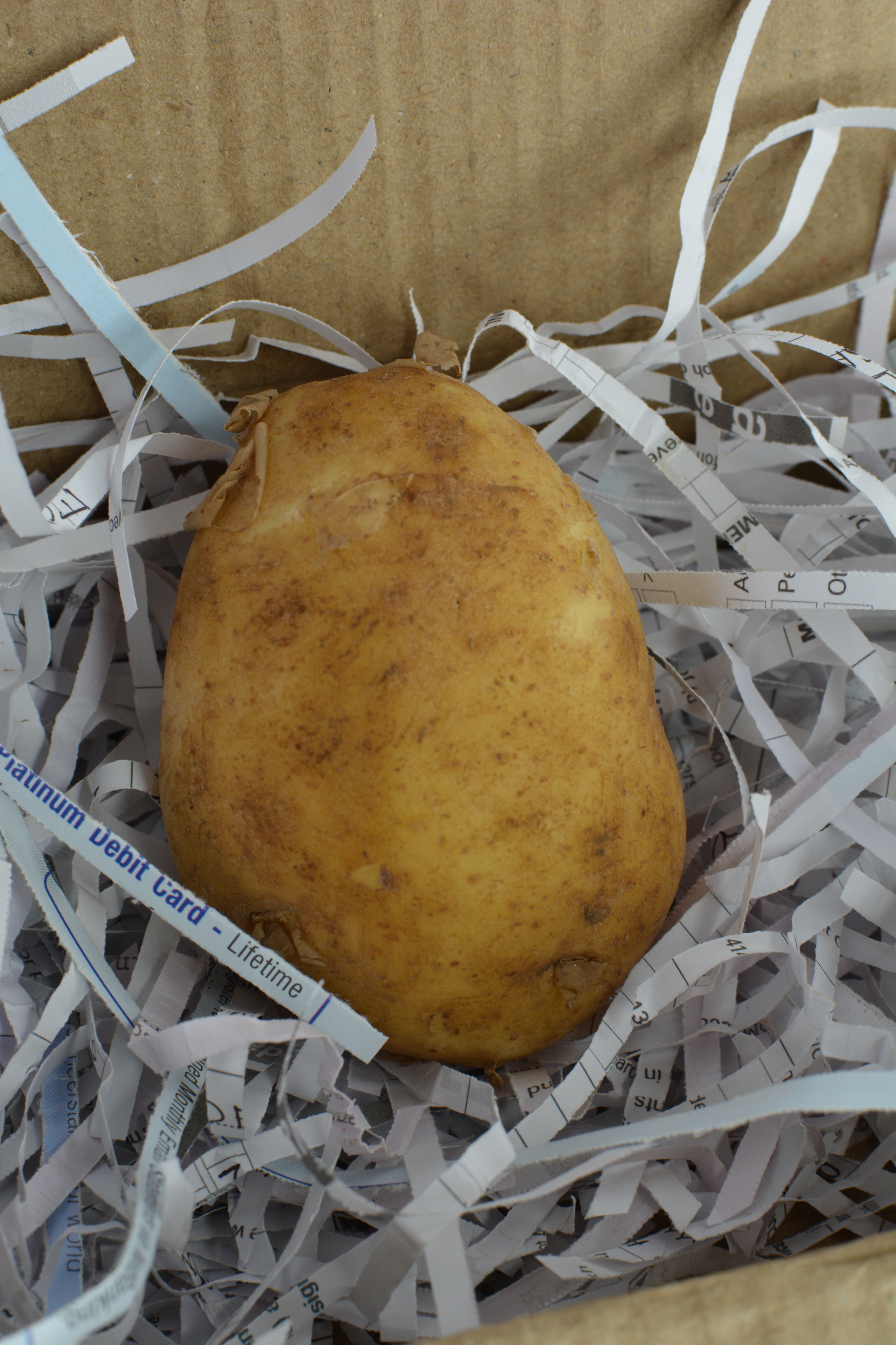 A Single Potato