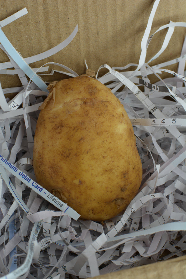 A Single Potato